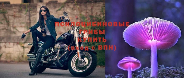 амф Алзамай