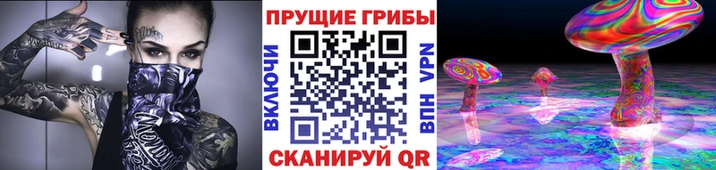 цена наркотик  Павловский Посад  Псилоцибиновые грибы Psilocybe 